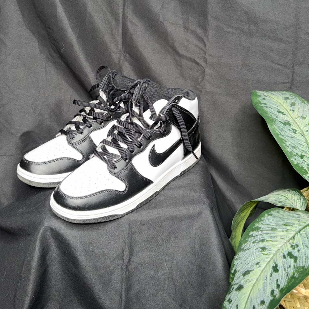 Nike Dunk panda